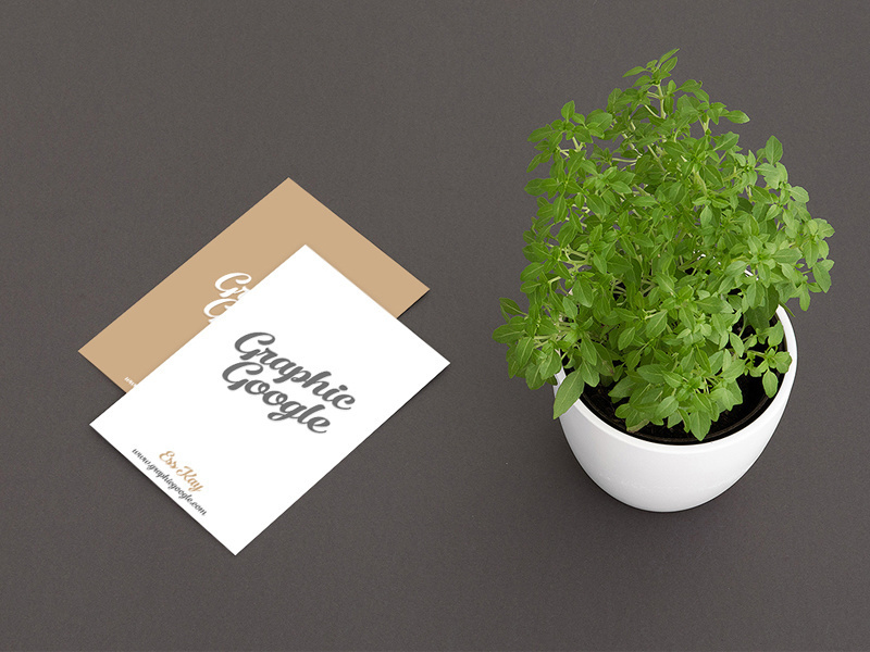 Free business card with plant mockup