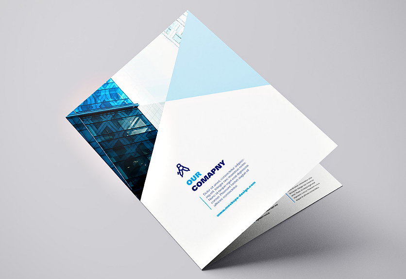 Best brochure catalog mockup templates cover