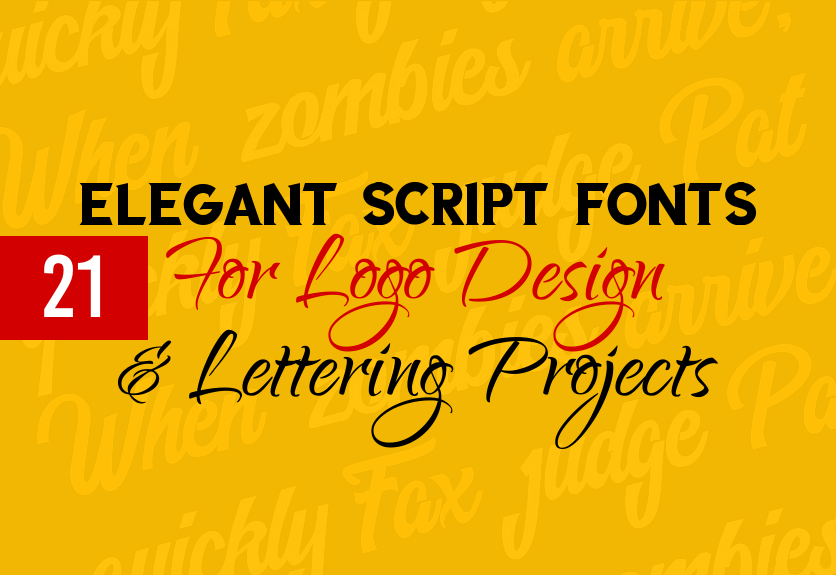 elegant script fonts for logo design  u0026 beautiful lettering