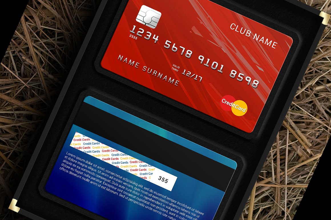 Red and blue credit card mockups