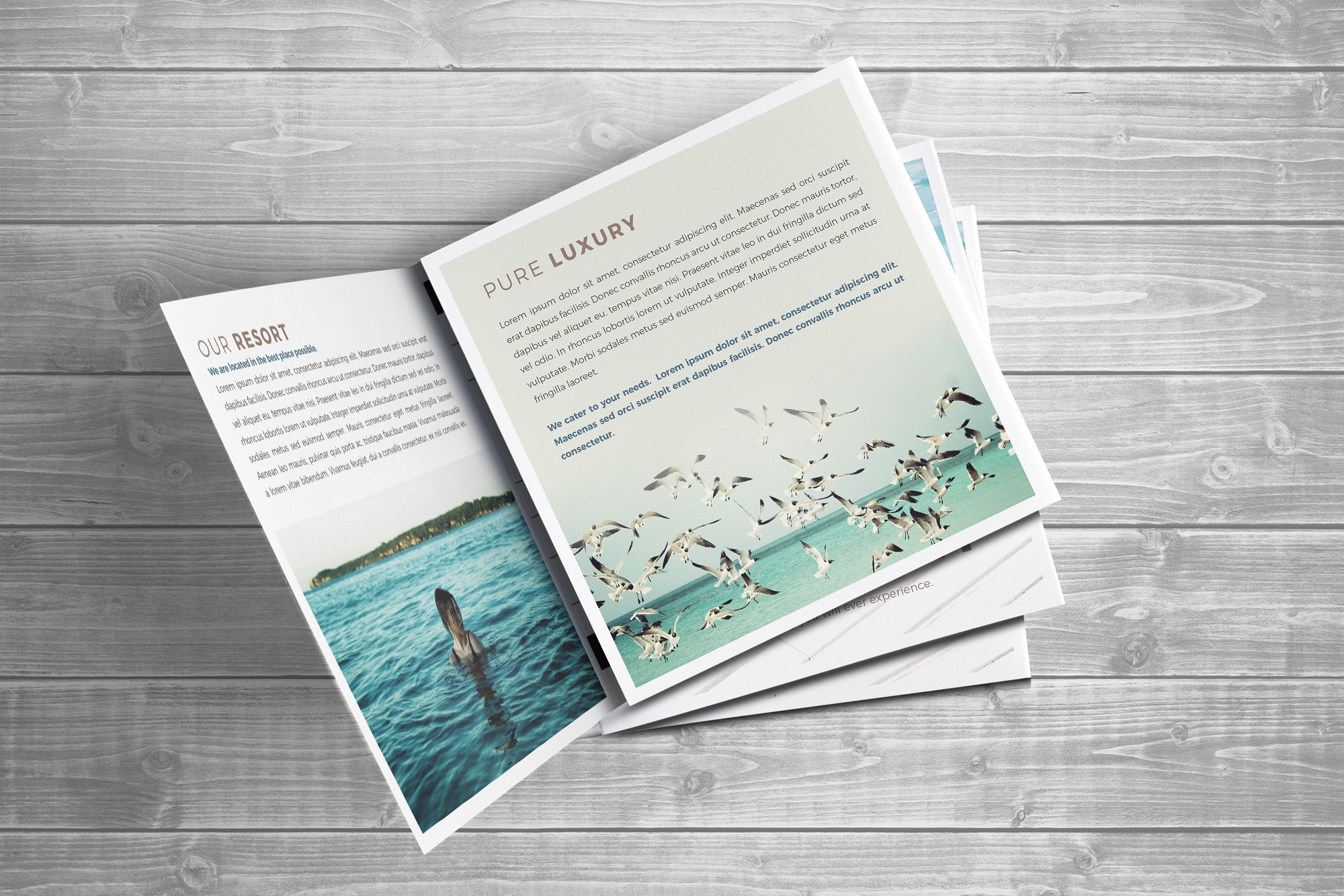 22+ Best Square Brochure Templates Ready to Print  Decolore.Net Within Brochure Template Indesign Free Download