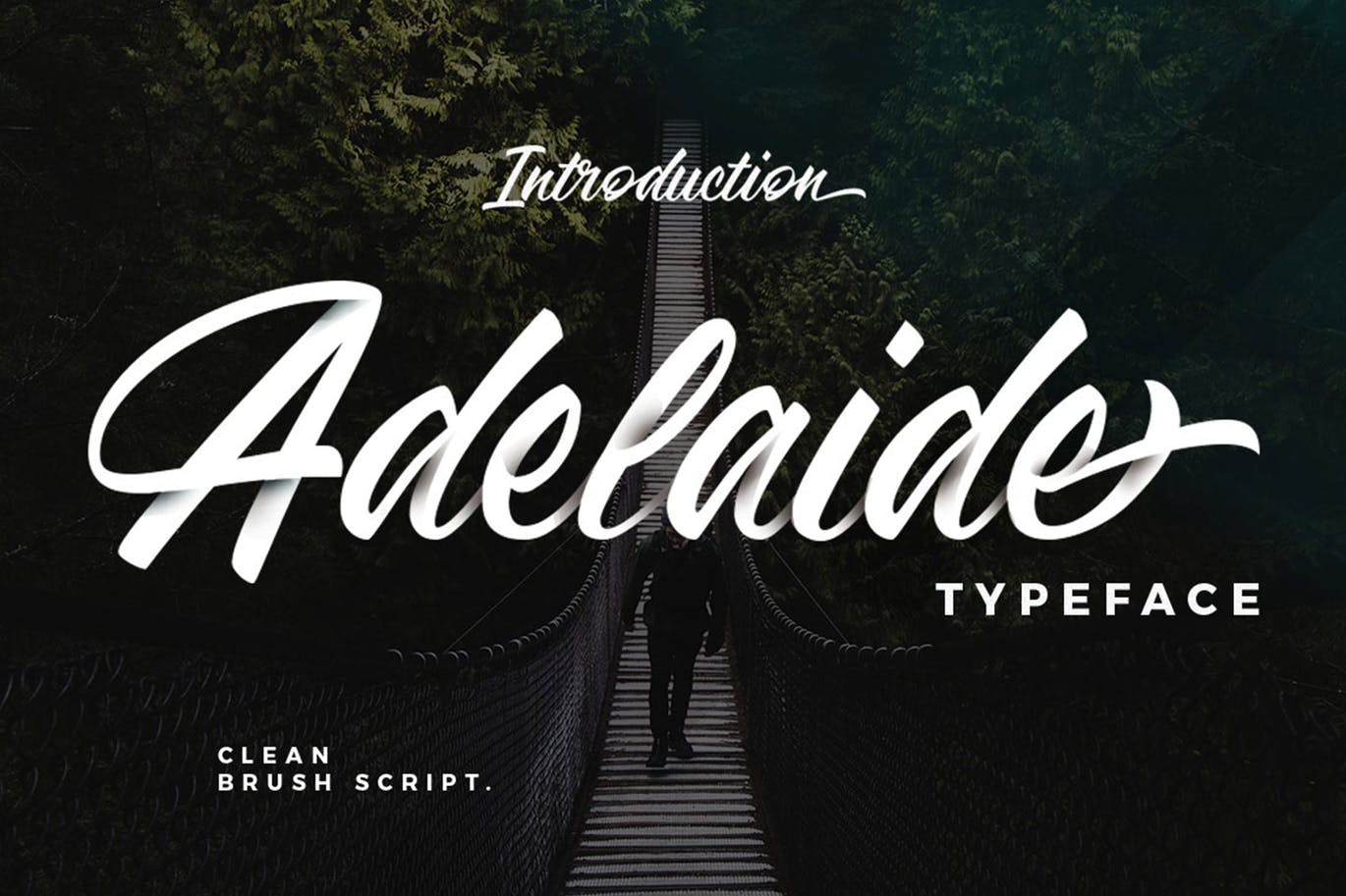 Adelaide typeface for clean logos