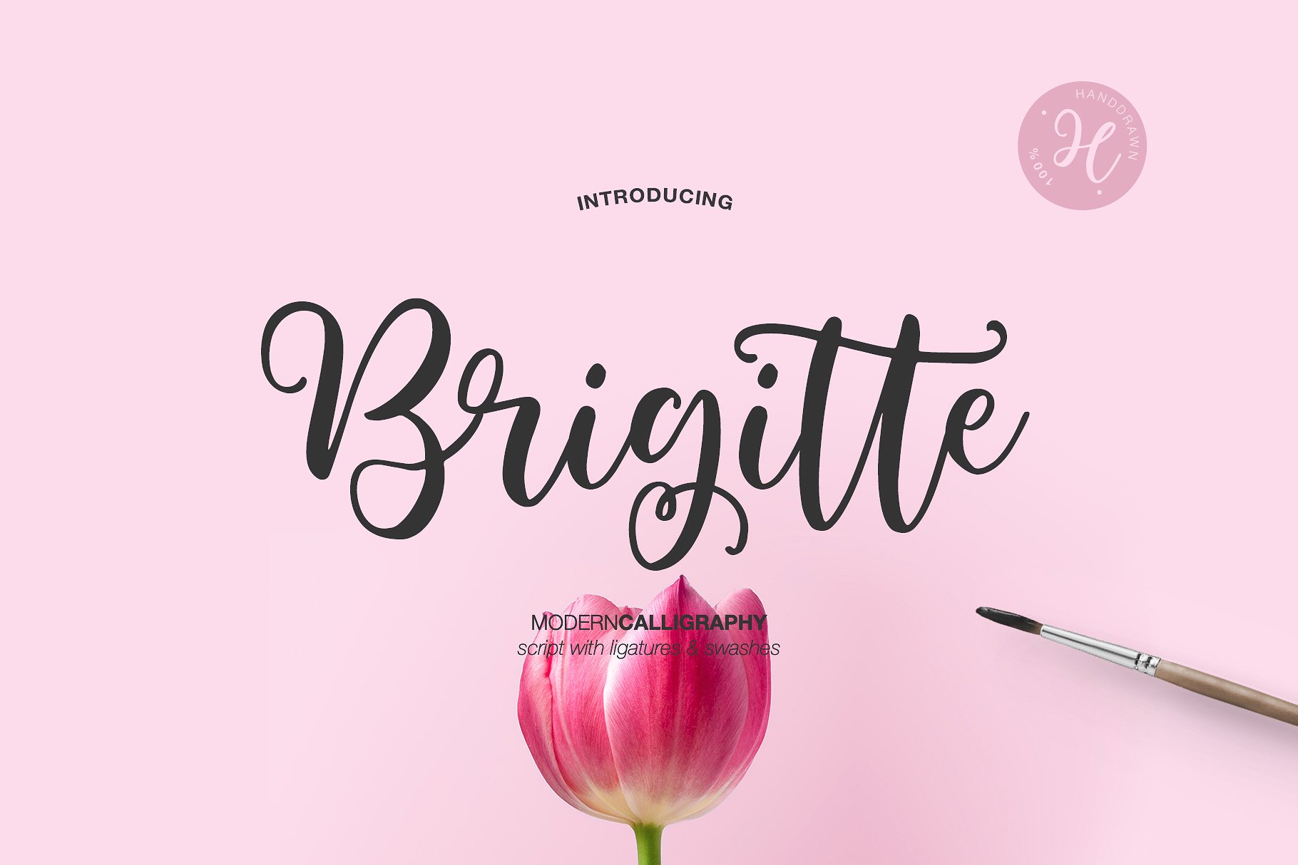 Brigitte modern calligraphy logo font