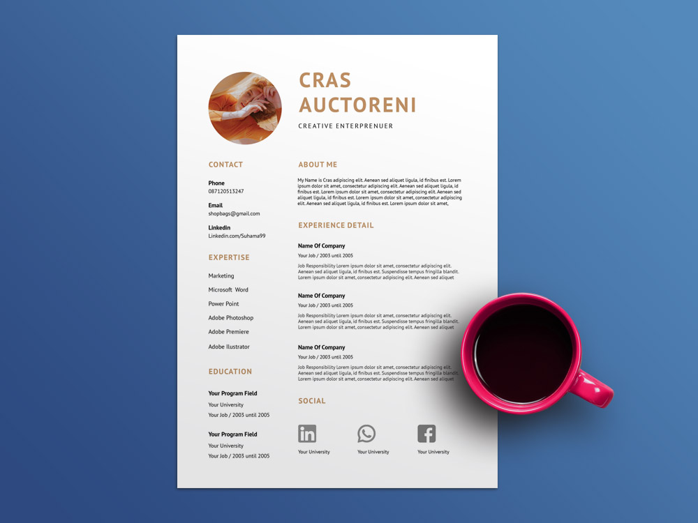 resume template indesign free download