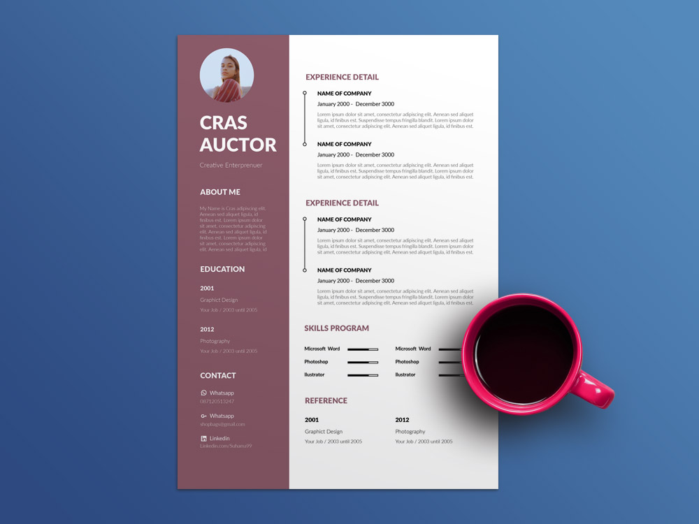 resume template indesign free download