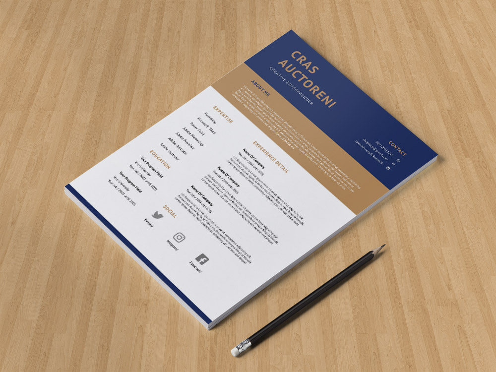 resume template indesign free download