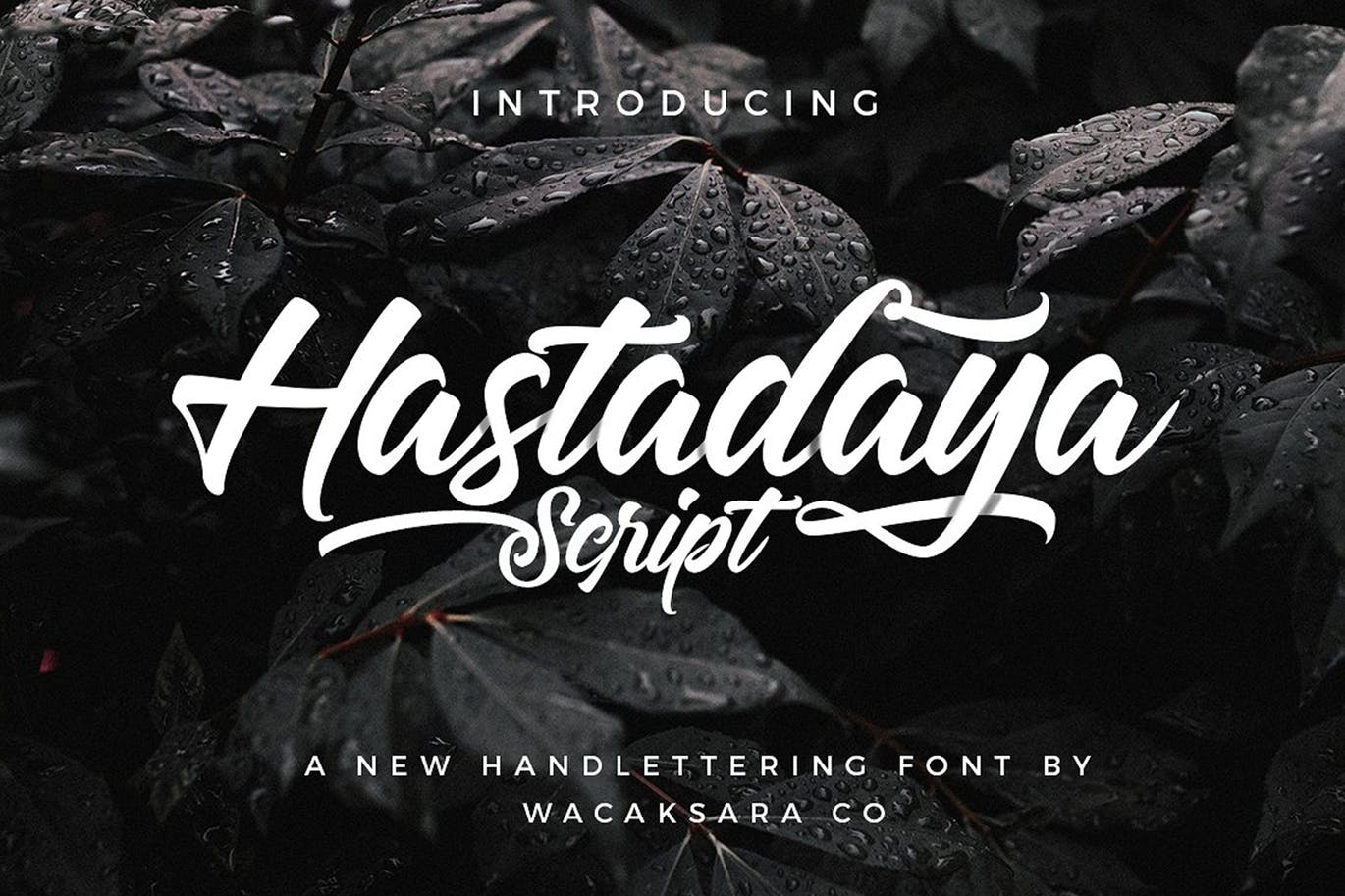 Hastadaya script for logo design