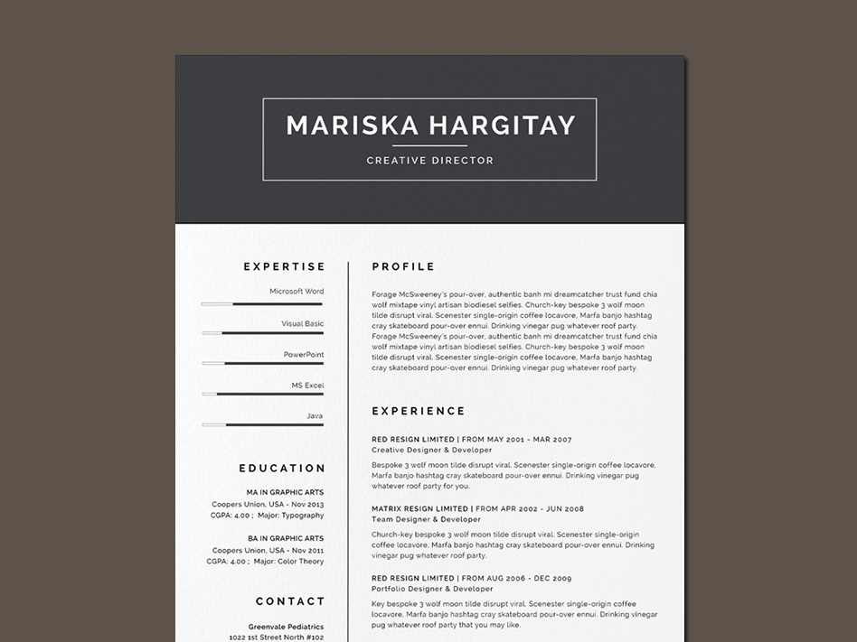 resume template indesign free download