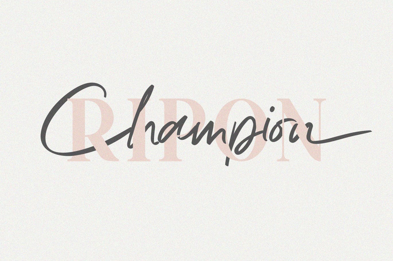40+ Dynamic Font Duos / Pairing Different Fonts Together, Decolore.Net