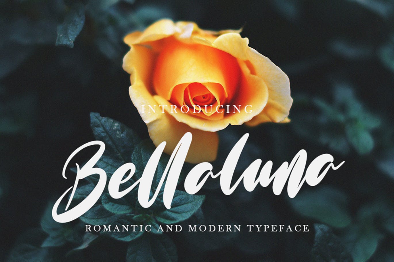 A romantic and modern font