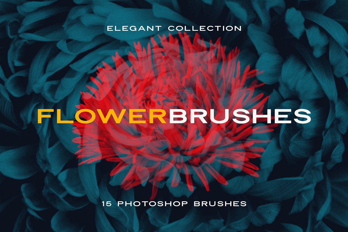 A elegant flower brushes for photoshop