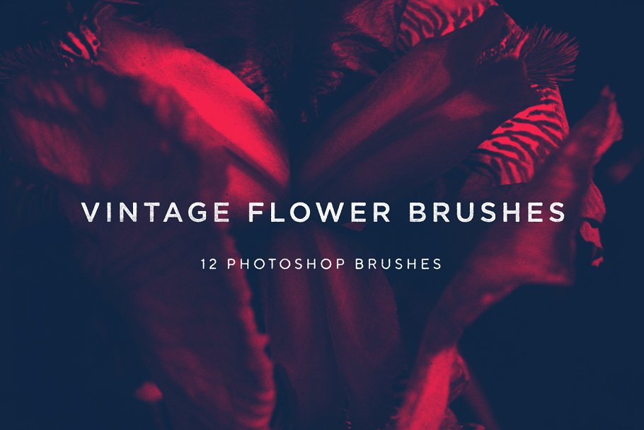 A vintage flower photoshop brushes
