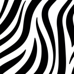 Black and white patterns cover