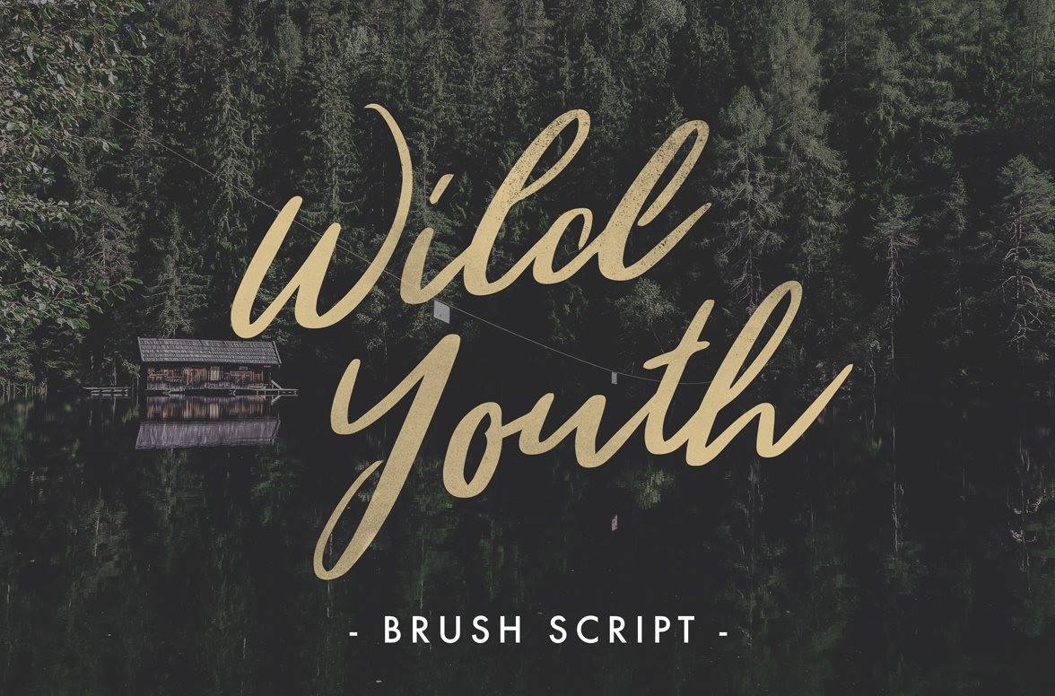 Wild-Youth-Free-Font.jpg