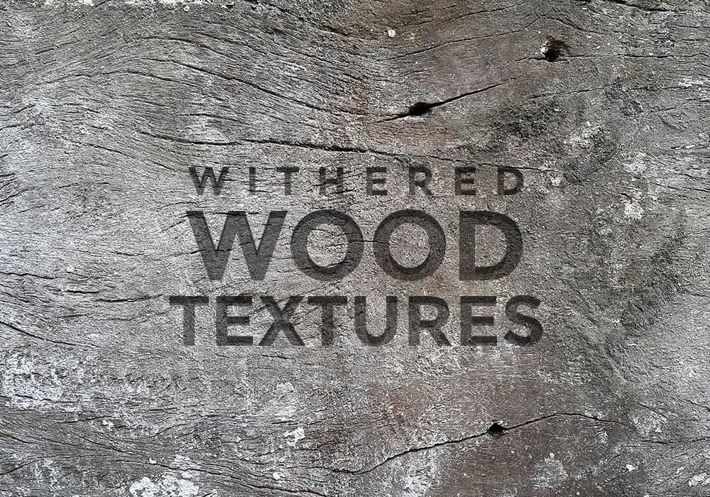 Free withered wood textures set