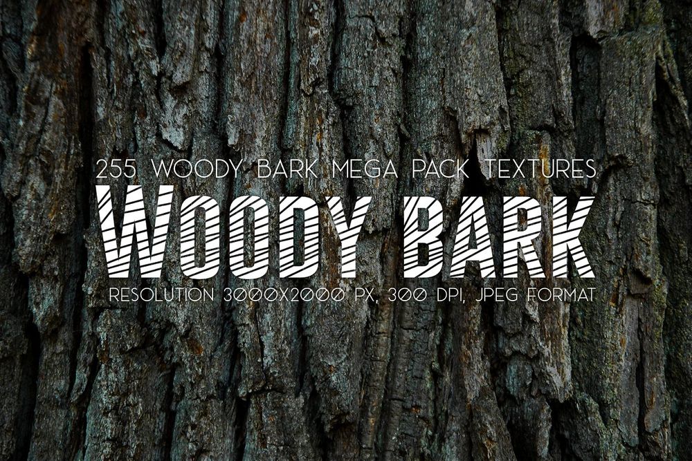 A collection of woody bark textures