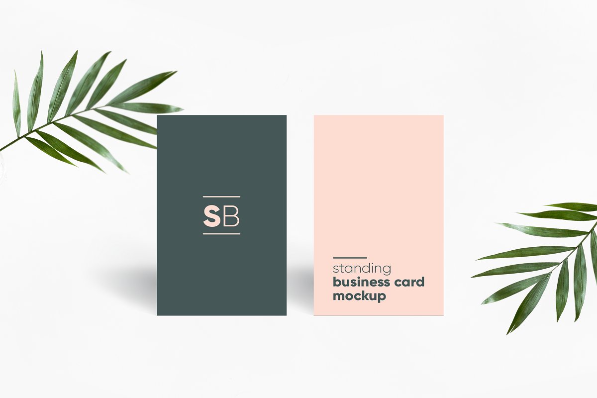 Two standing business cards with a plant mockup