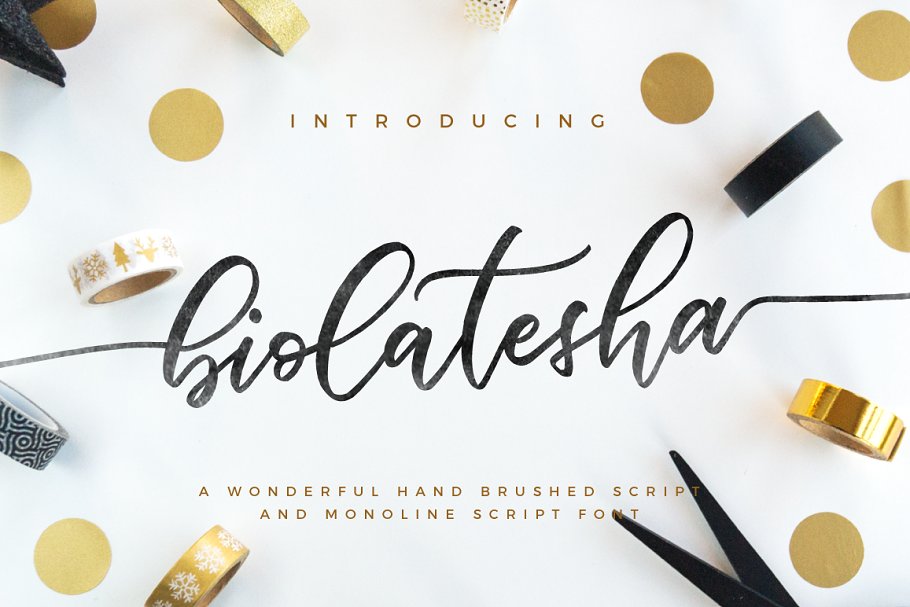 A wonderful hand brushed script font