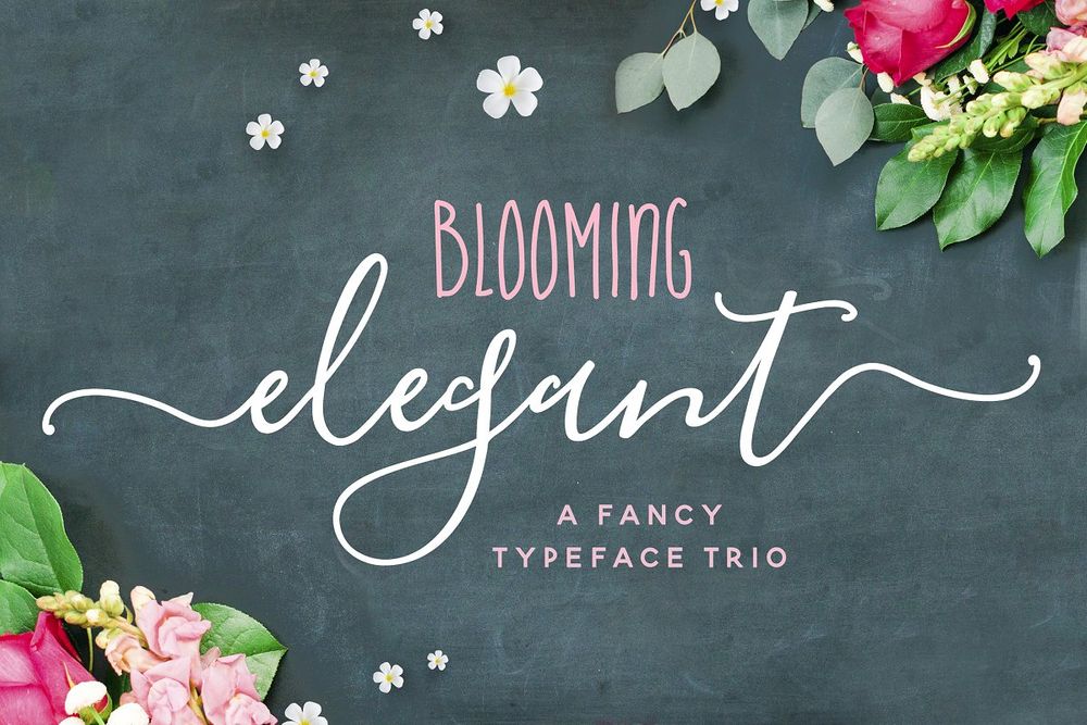 A funcy typeface trio