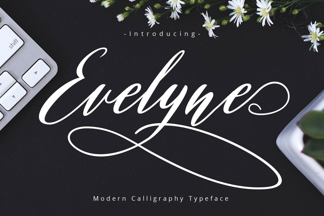 A modern calligraphy typeface