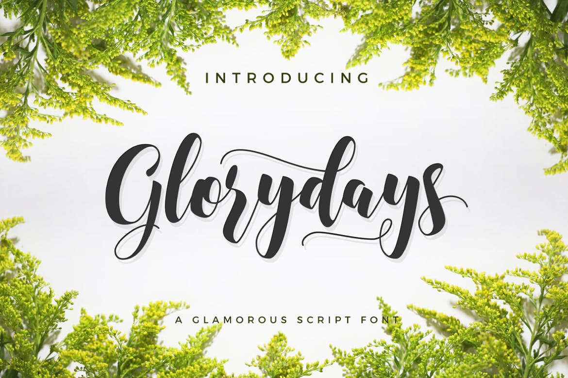 A glamorous script font