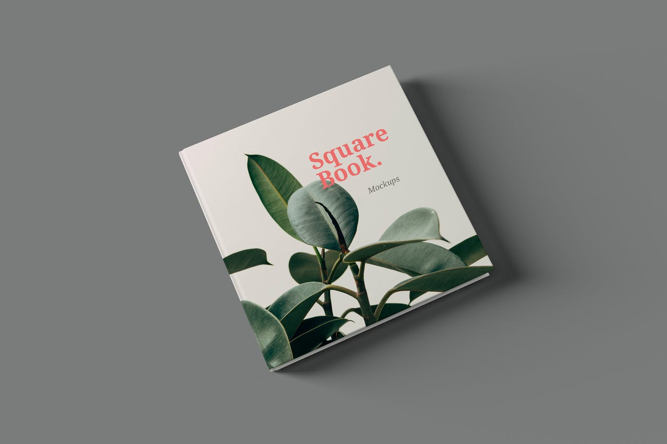 A square book mockups