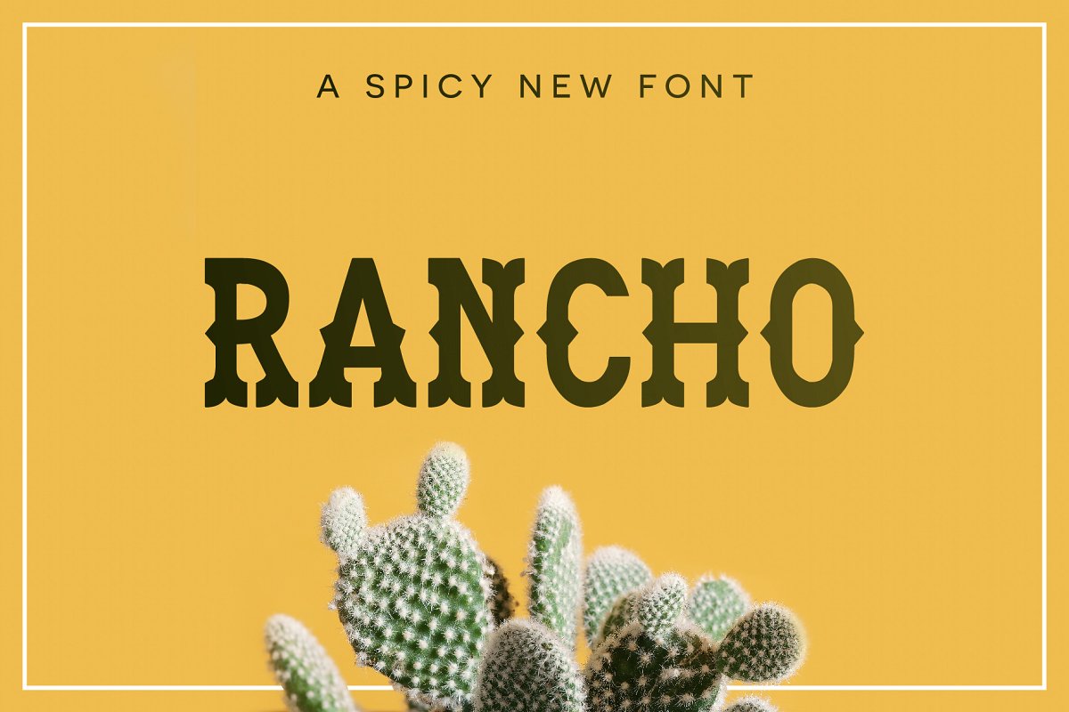 A spicy westen style font