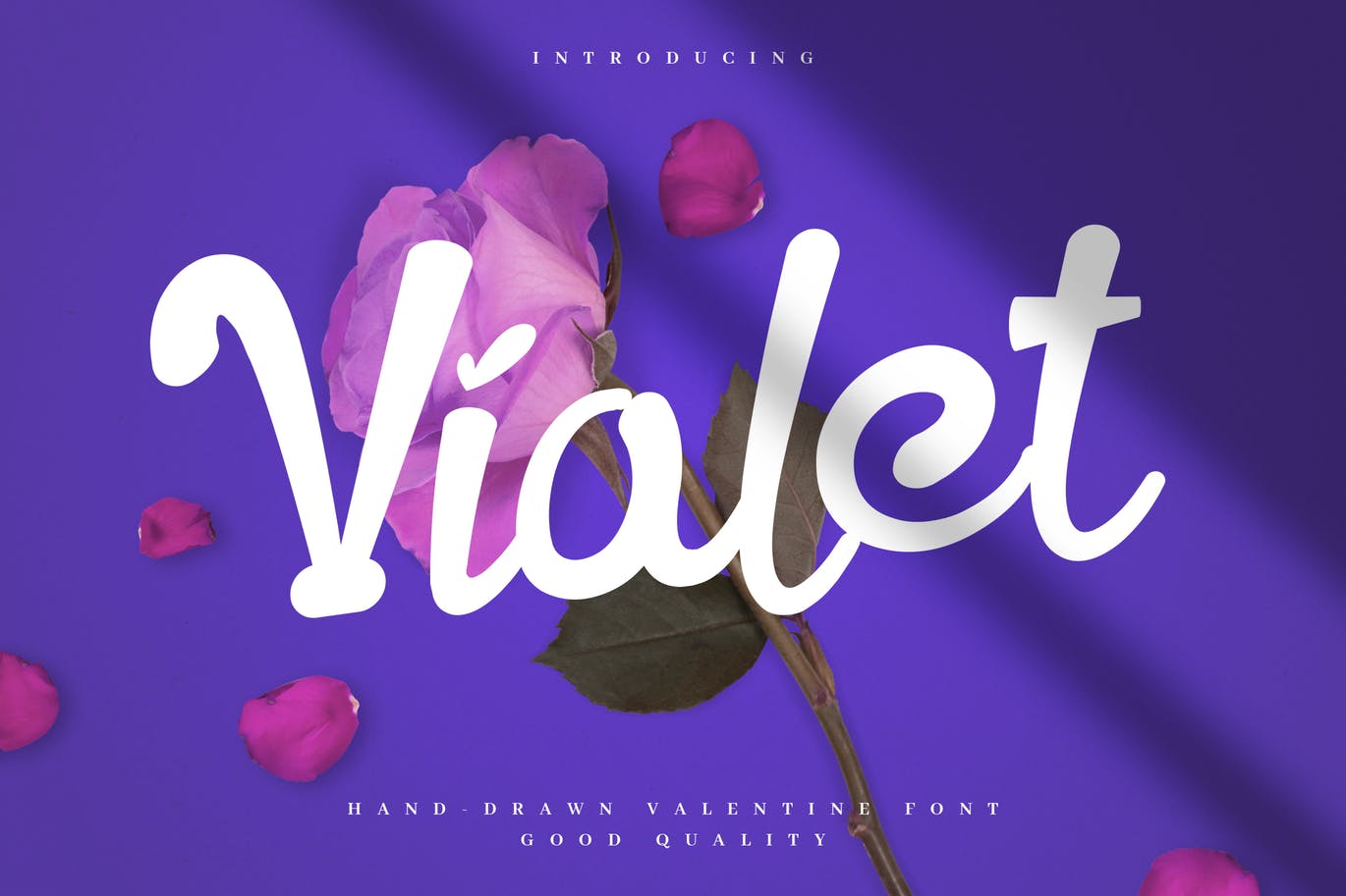 Violet valentine