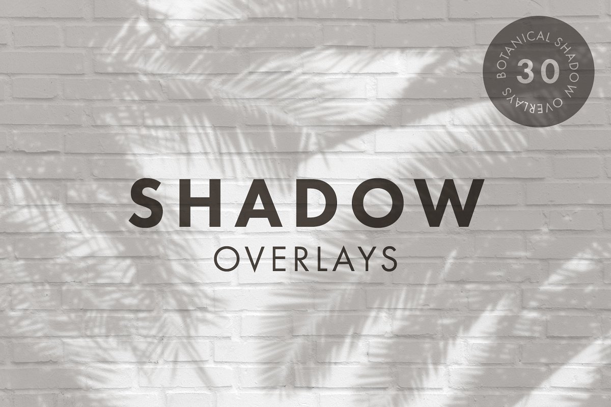 Thirty botanical shadow overlays