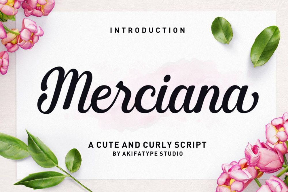 merciana-script-font.jpg