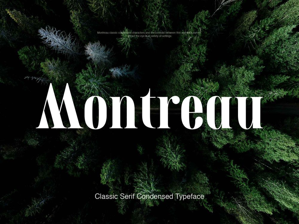 montreau-serif-font.jpg