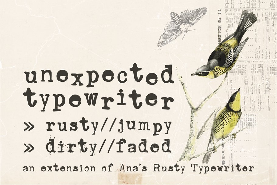 A typewriter font family