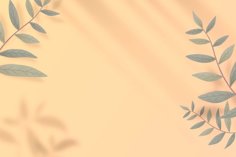 A leafs on orange background with shadow