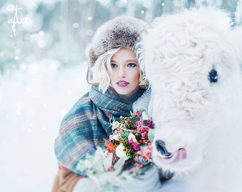 A bundle of winter photoshop actions