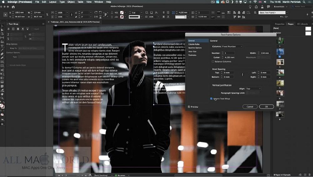 Adobe InDesign Screenshot