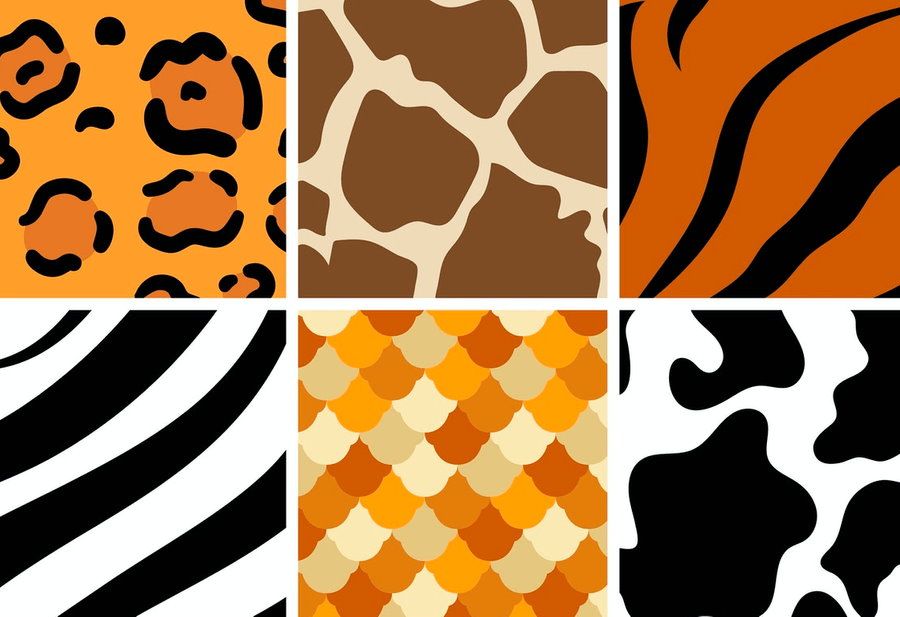 animal-skin-patterns-royalty-free-vector-image