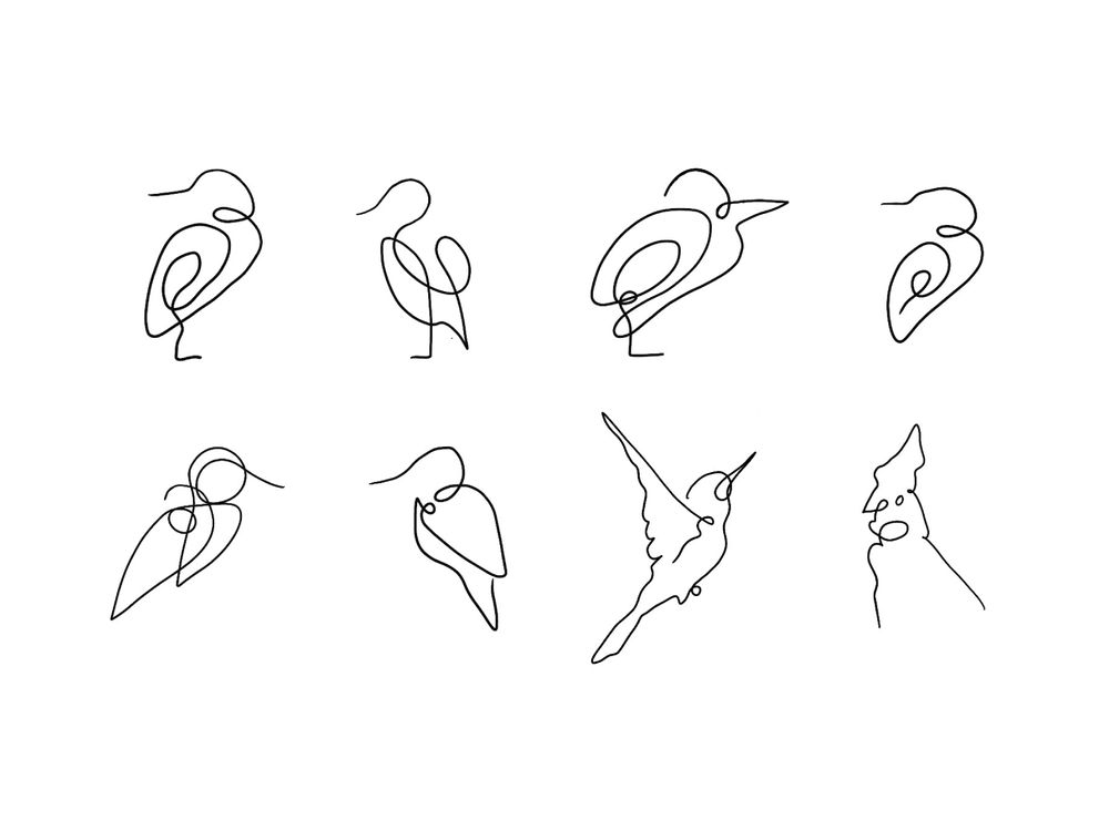Birds in one line style