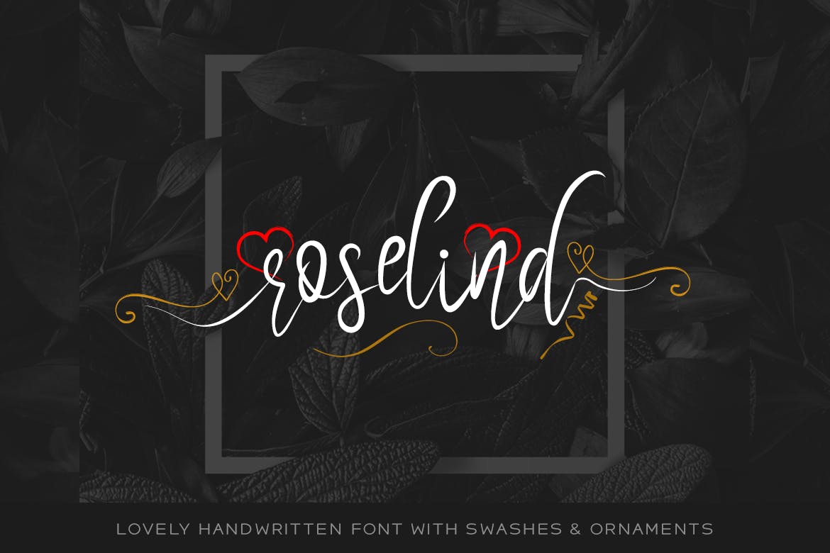 A lovely handwritten font with swashes