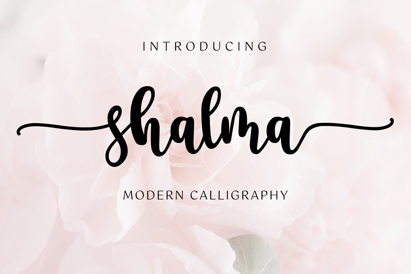 A free modern calligraphy font
