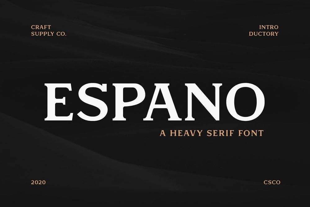 A heavy serif font