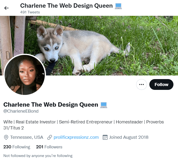 Charlene the web design queen twitter account