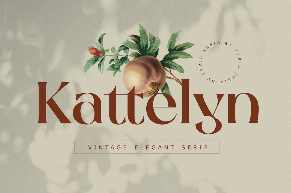 Elegant and vintage serif font