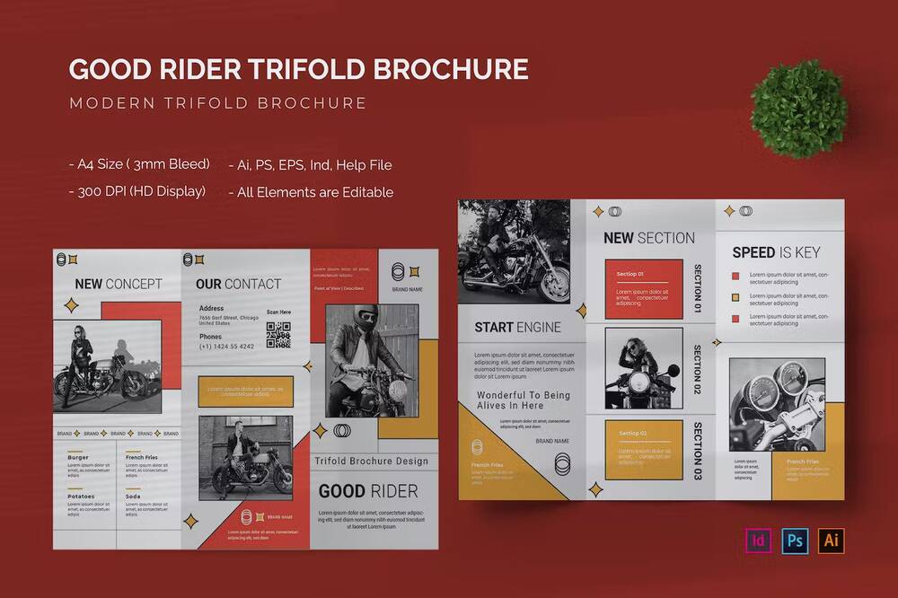 Good rider trifold brochure template