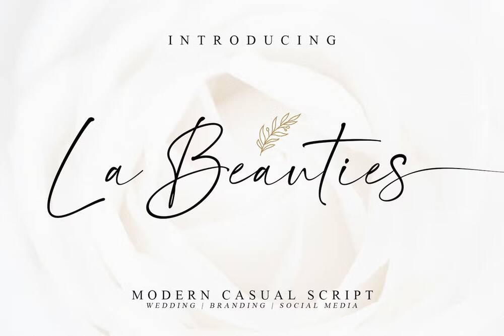 A modern and casual script font
