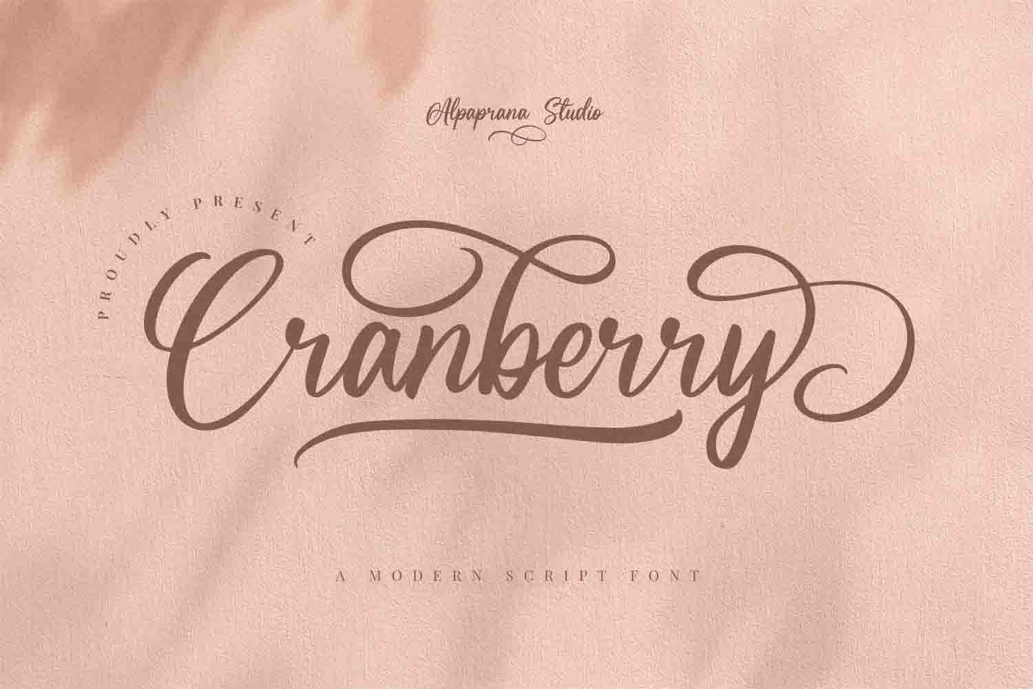 A modern and elegant script font