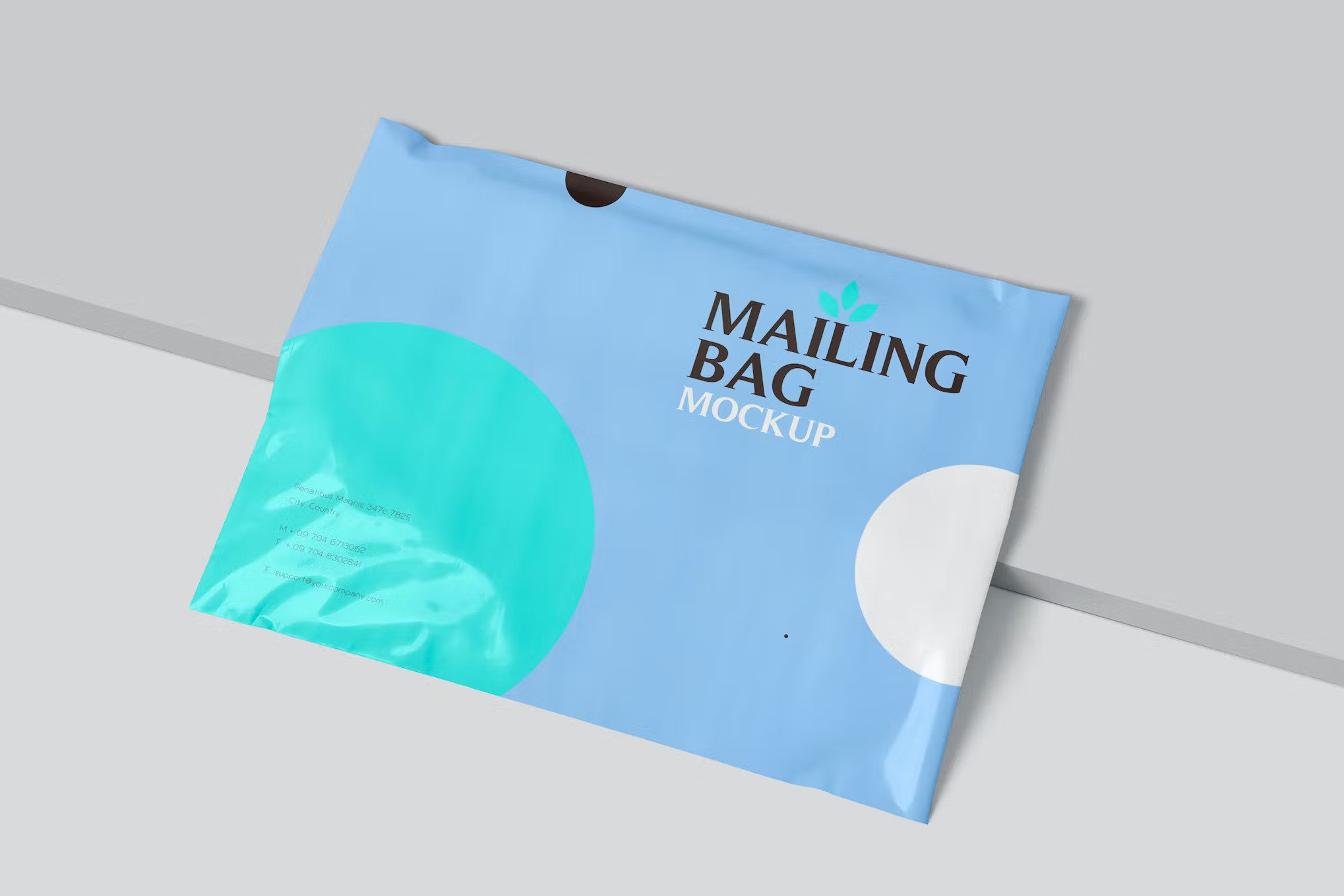 A mailing bag mockup set
