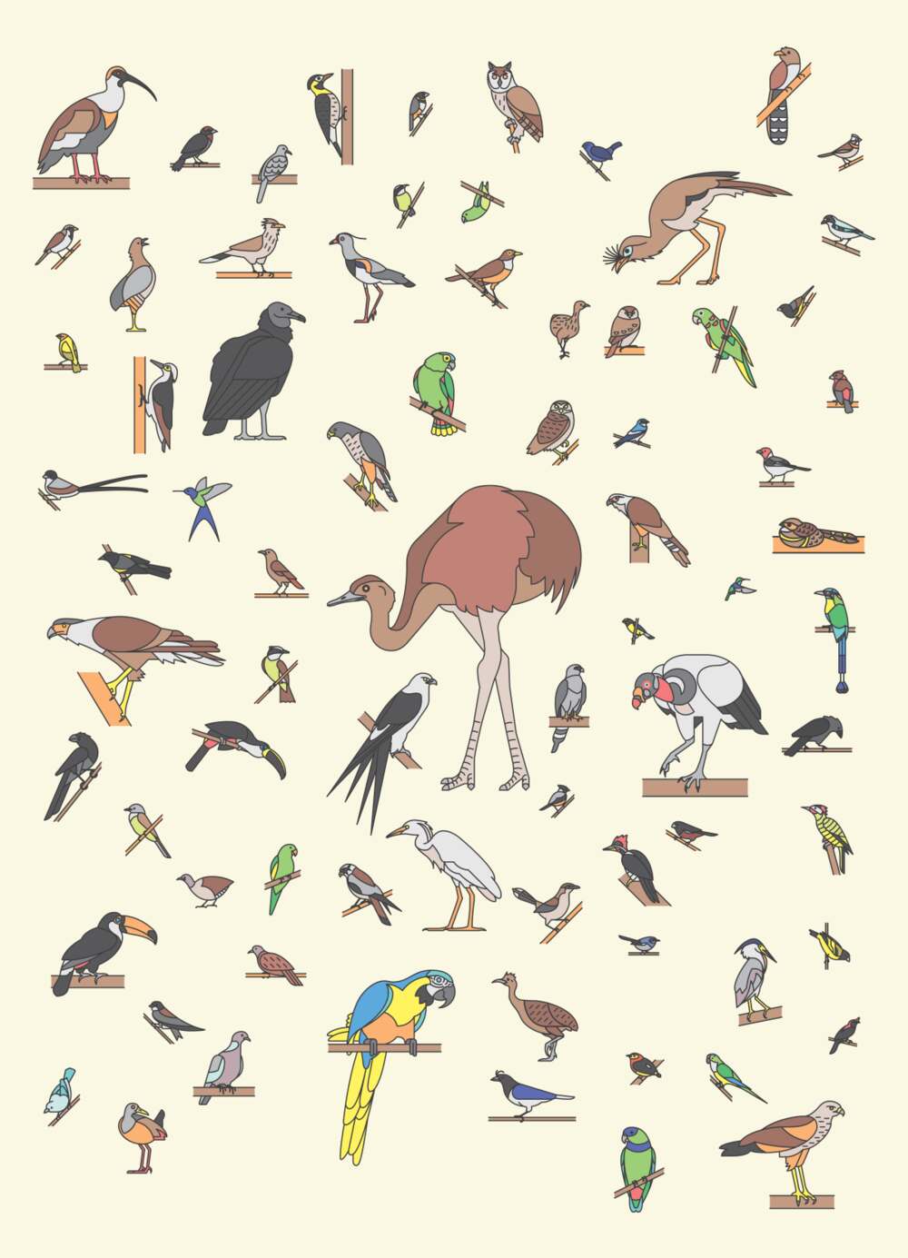 A free set of brazilian bird icons