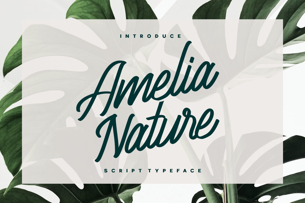 A script typeface for nature designs