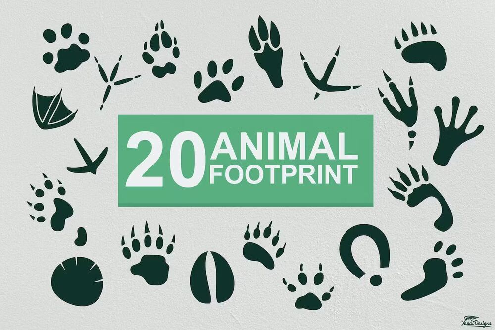 Animal footprints icon set