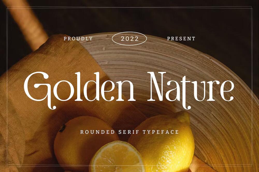 A rounded serif typeface